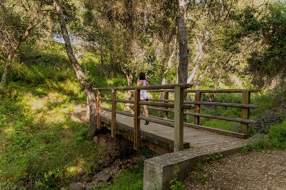 Top 10 Reasons To Visit Santa Ynez Valley hiking in Santa Ynez Valley