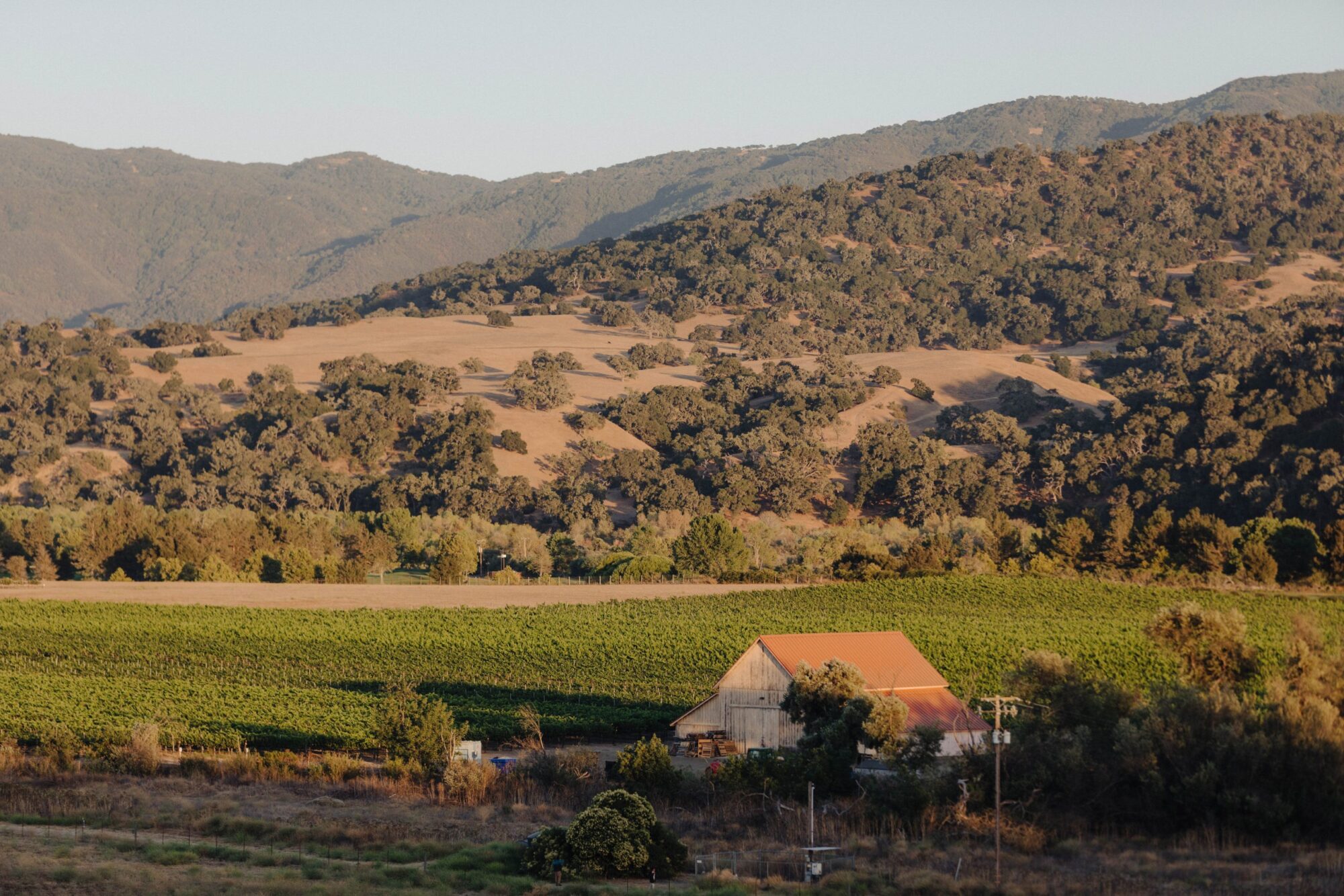 What Is Santa Ynez Known For