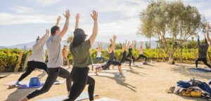 Santa Ynez Valley yoga in vineyard