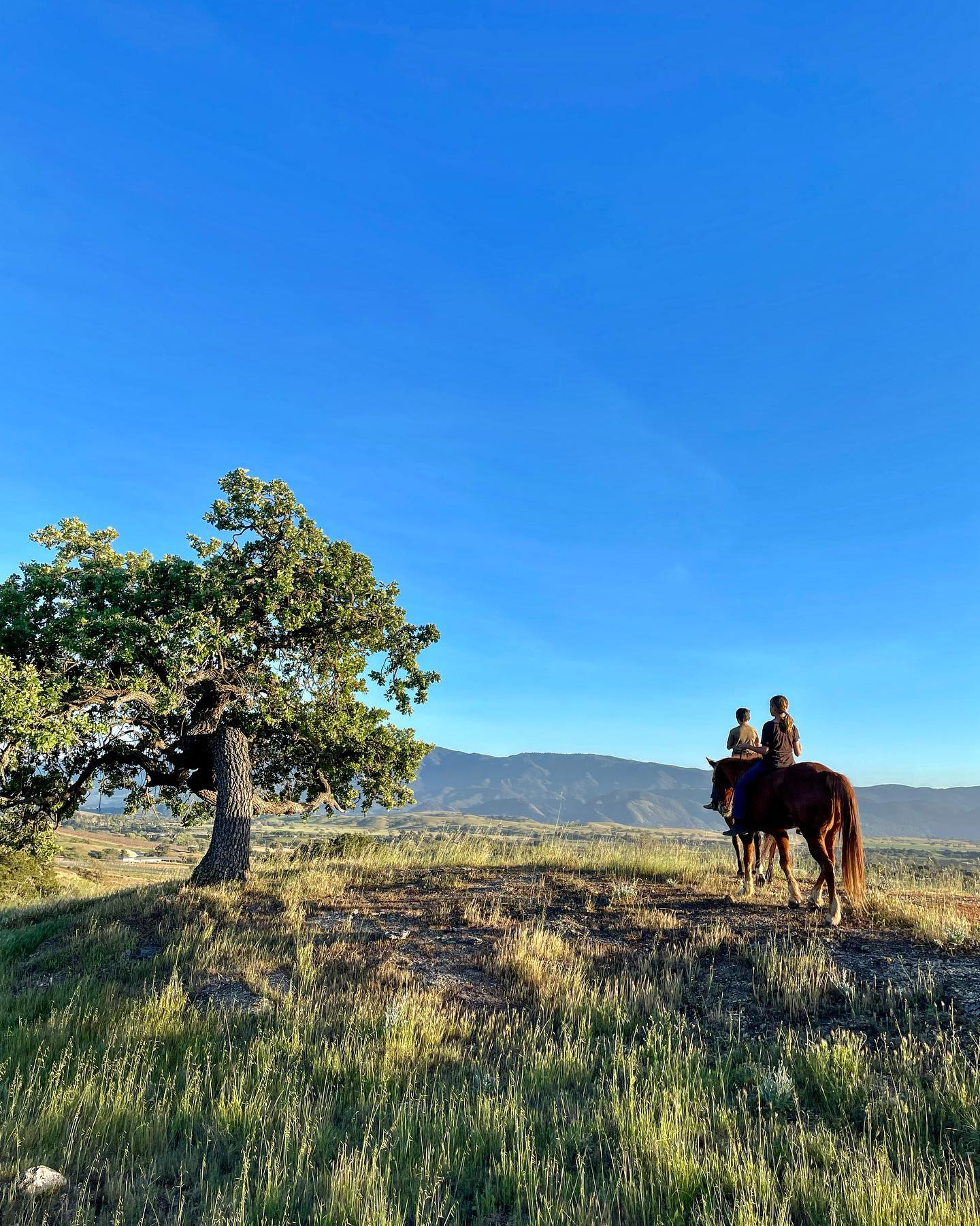 Unforgettable Summer Adventures in the Santa Ynez Valley