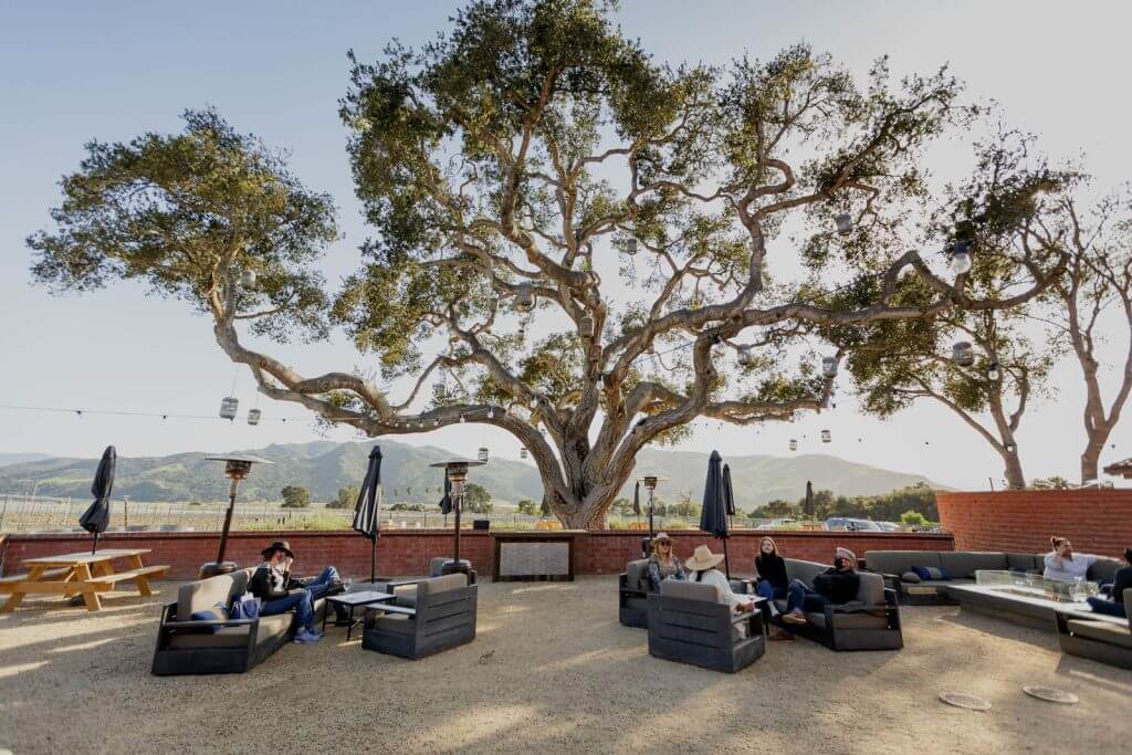 Outdoor seating under a large tree