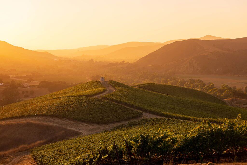 Home Sunset over the Peake Ranch vineyards in the Santa Ynez Valley