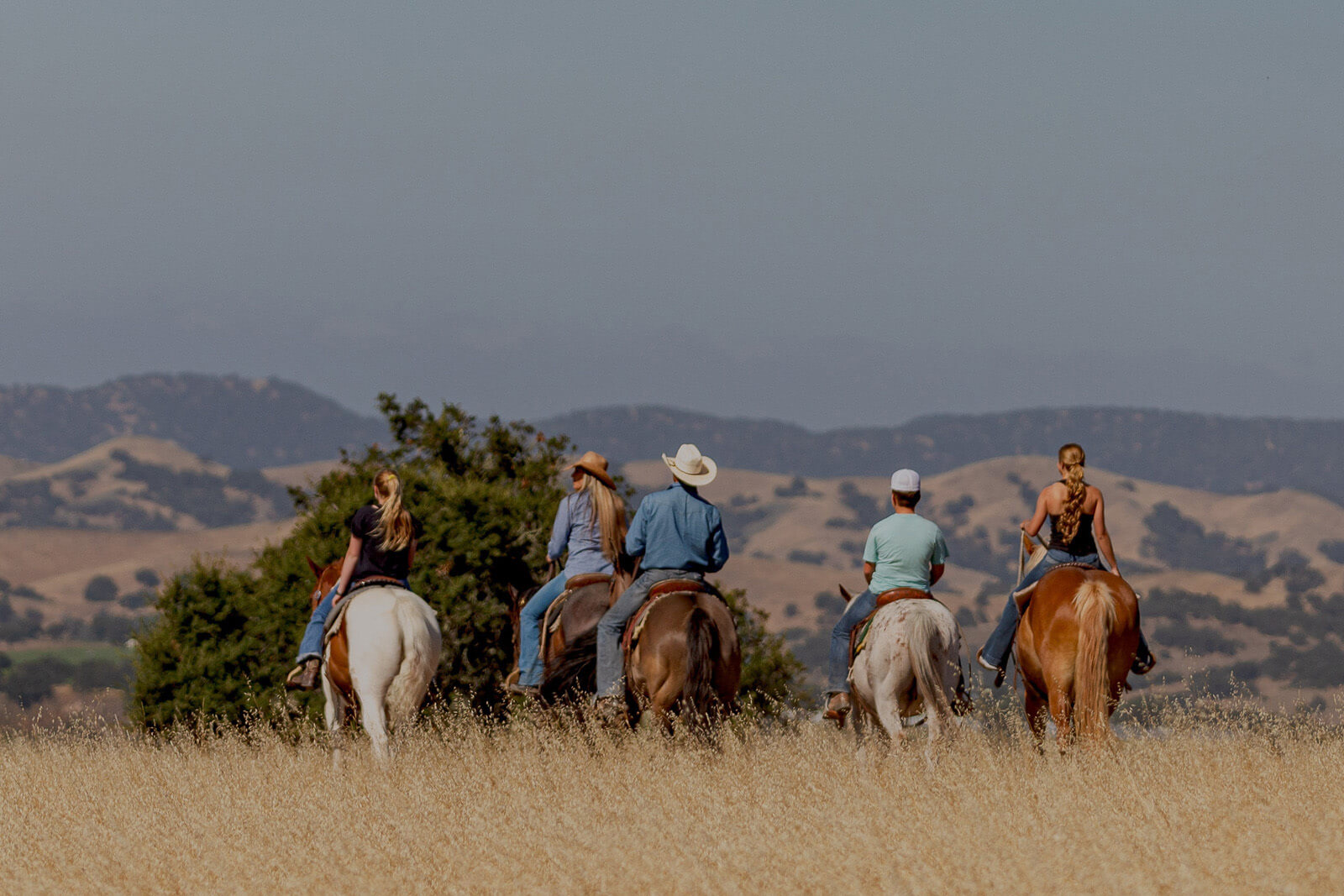 Guided Tours Five people horseback riding