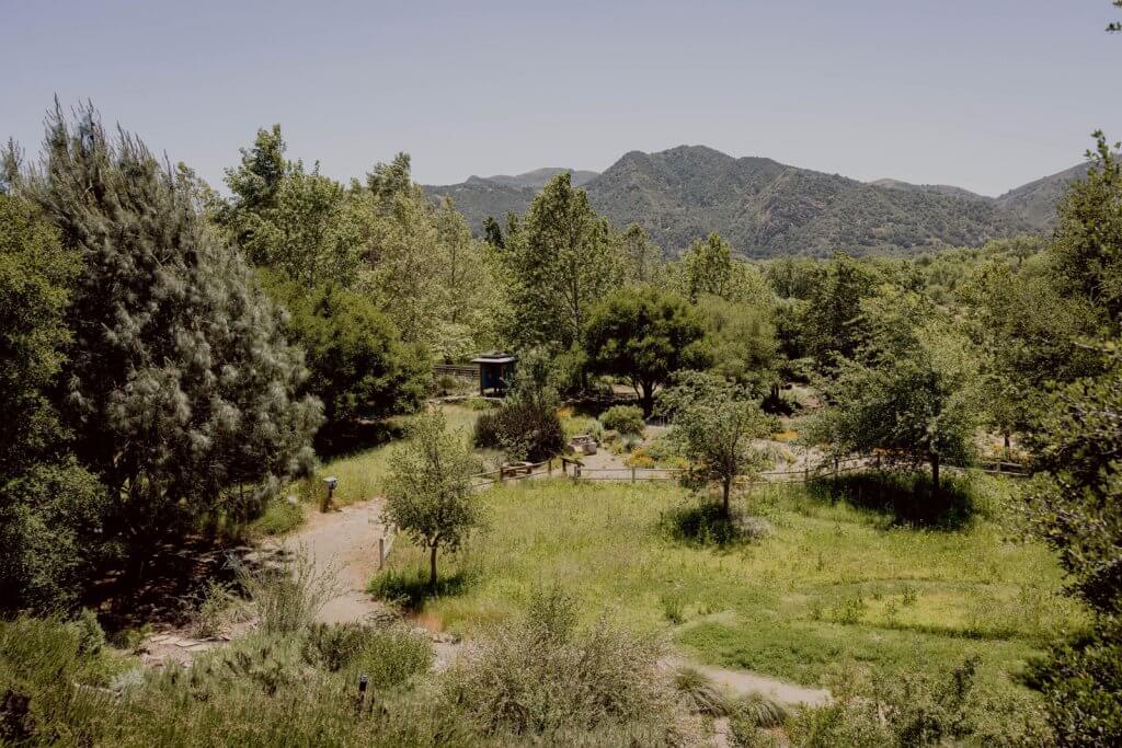 5 of the Dreamiest Spots in the Santa Ynez Valley, California The Santa Ynez Valley Botanic Garden in Buellton, California