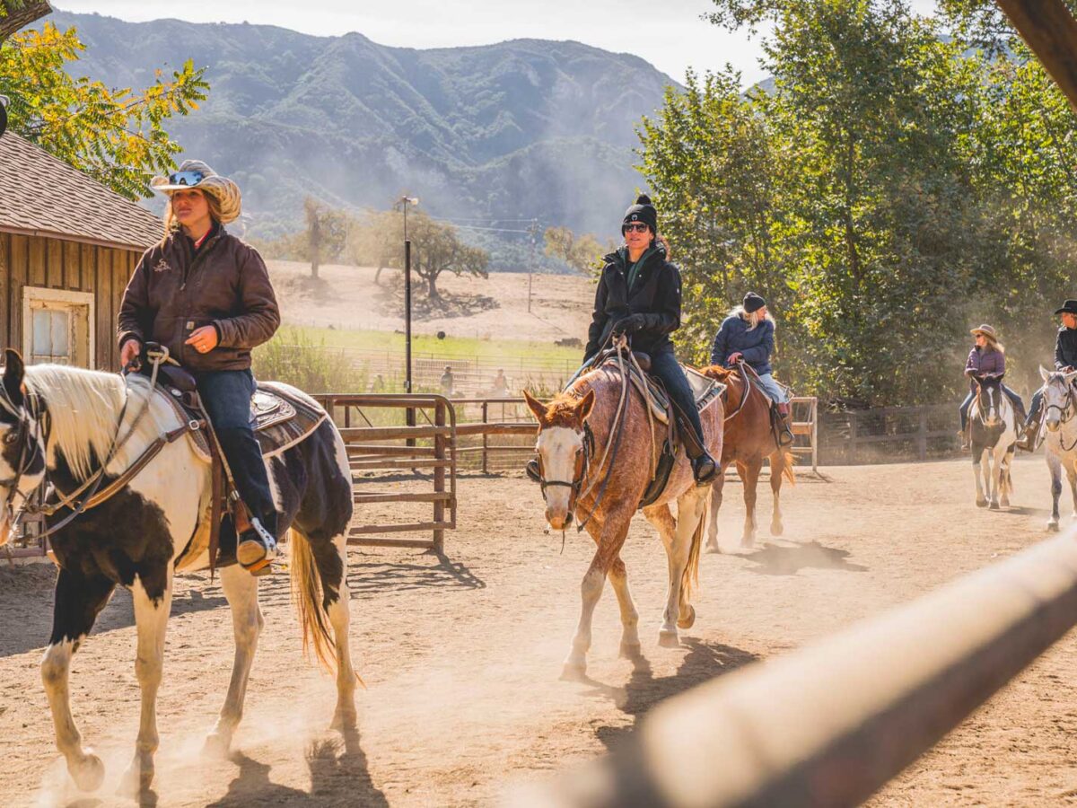 The Great Santa Ynez Horseback Riding Experience